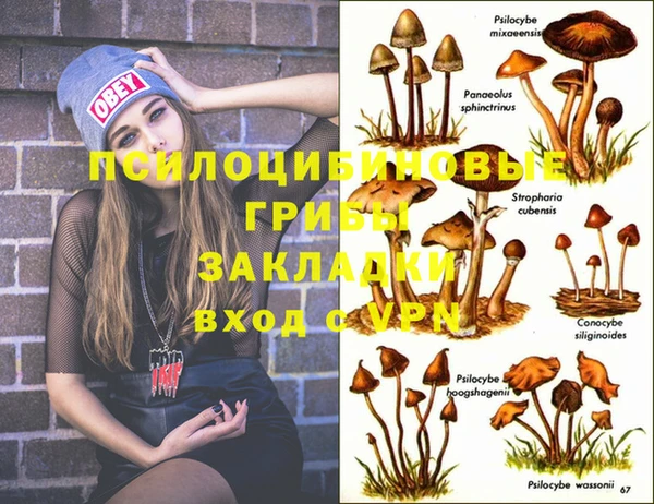 дмт Балахна