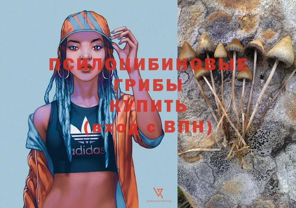 MESCALINE Баксан