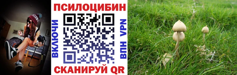 Галлюциногенные грибы мицелий  Верещагино 